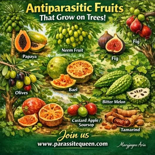 Antiparasitic Fruits That Grow on Trees!