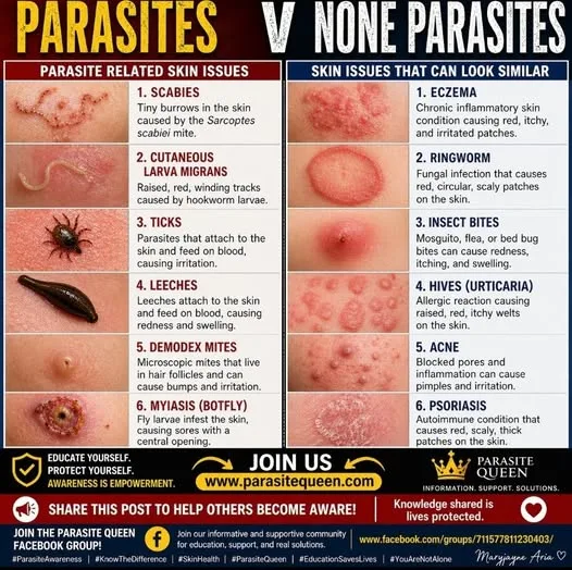 Parasites vs Non Parasites: Understanding What You Are Seeing on the Skin.