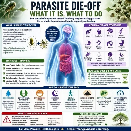 Parasite Die-Off: What It Is, Why It Happens, and How to Support Your Body