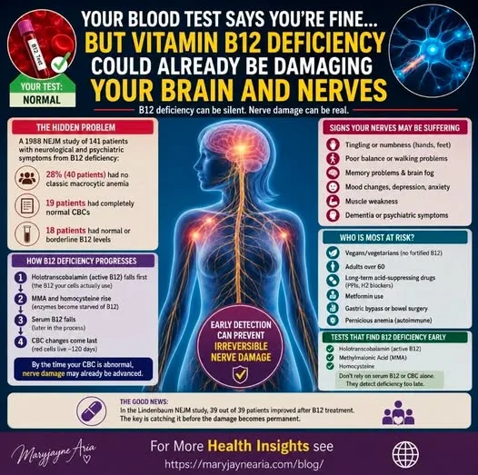 When Your B12 Blood Test Says You're Fine... But Vitamin B12 Deficiency Could Already Be Damaging Your Brain and Nerves