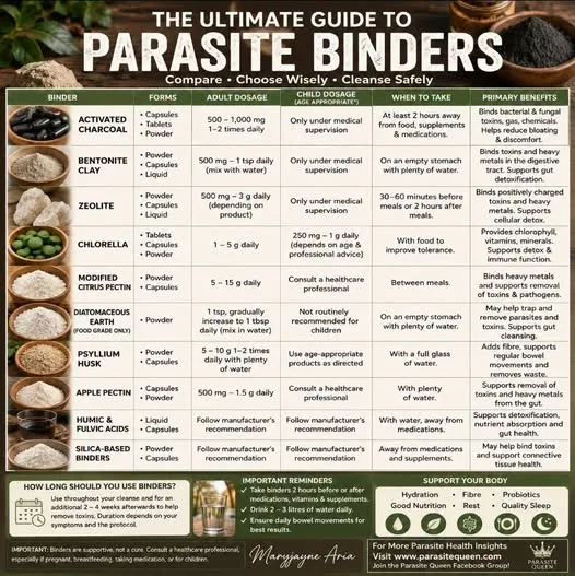Why Binders Are Essential During a Parasite Cleanse