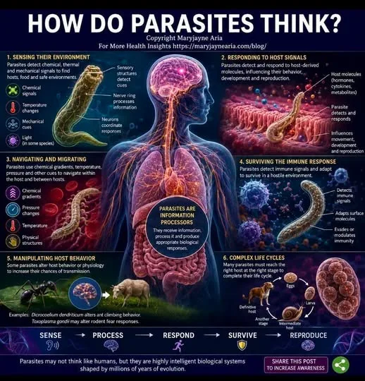 How Do Parasites Think?