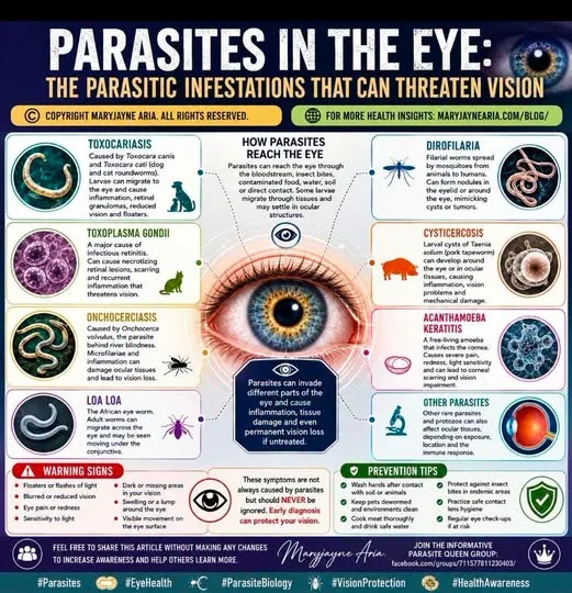 PARASITES IN THE EYE: THE PARASITIC INFECTIONS THAT CAN THREATEN VISION