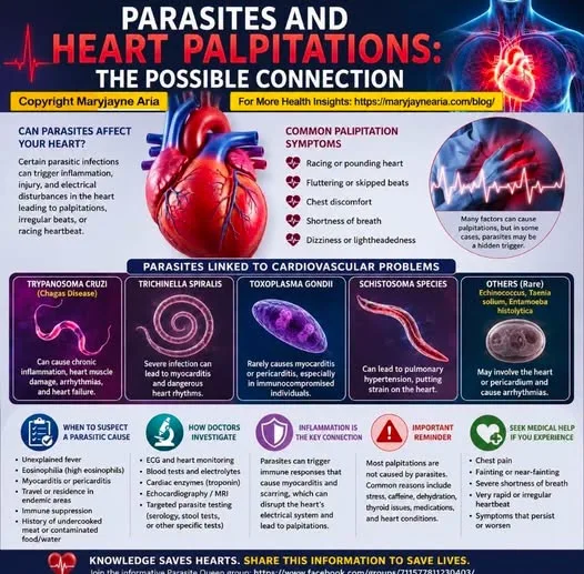 PARASITES &amp; HEART PALPITATIONS: THE CONNECTION