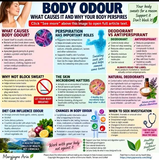 BODY ODOUR: WHAT CAUSES IT, WHY YOUR BODY PERSPIRES AND WHAT TO USE.
